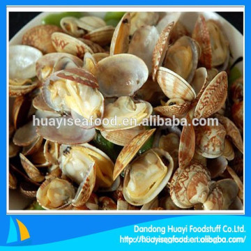 supply various frozen boiled baby clam with natural juice